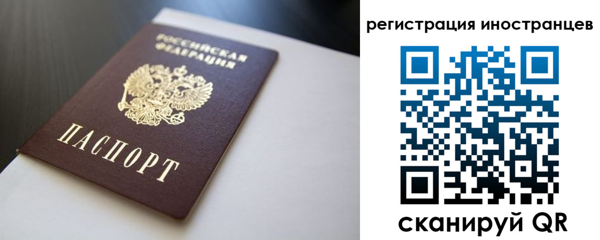 пропишу в квартире в Михайловке